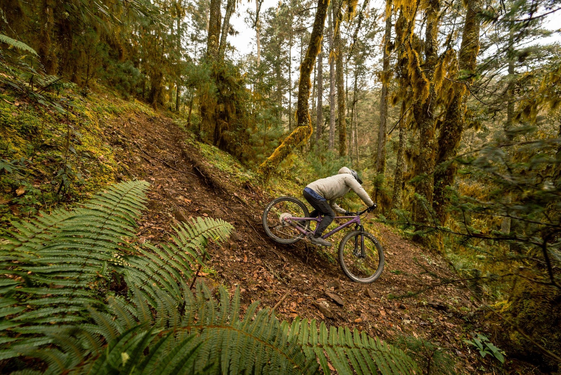 Oaxaca mountain biking