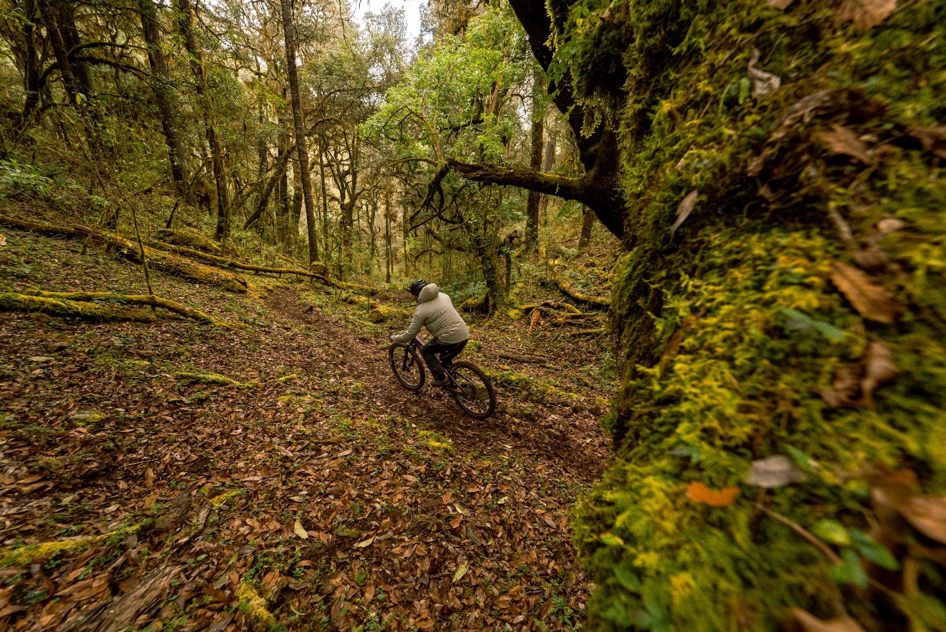 Oaxaca mountain biking