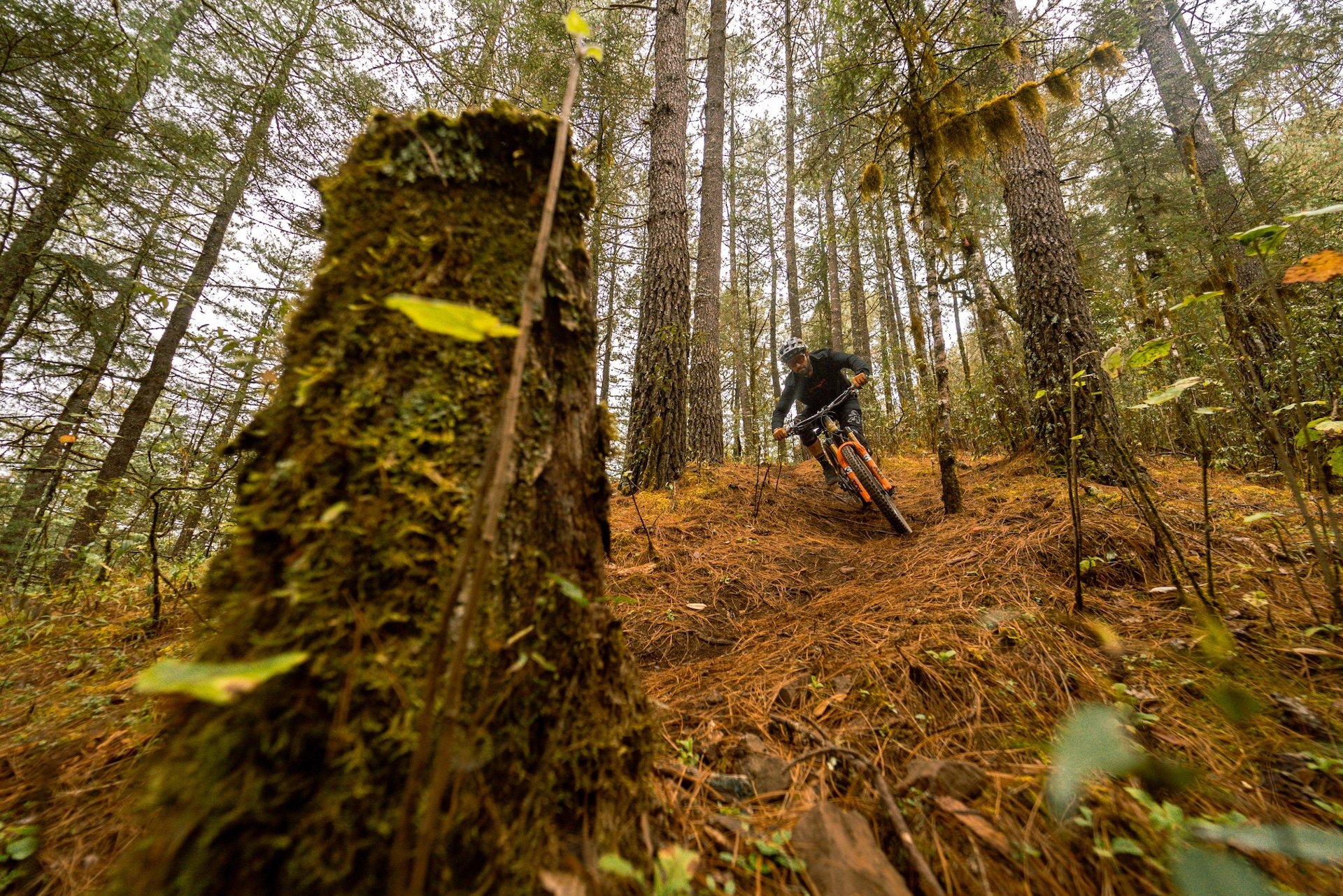 Oaxaca mountain biking