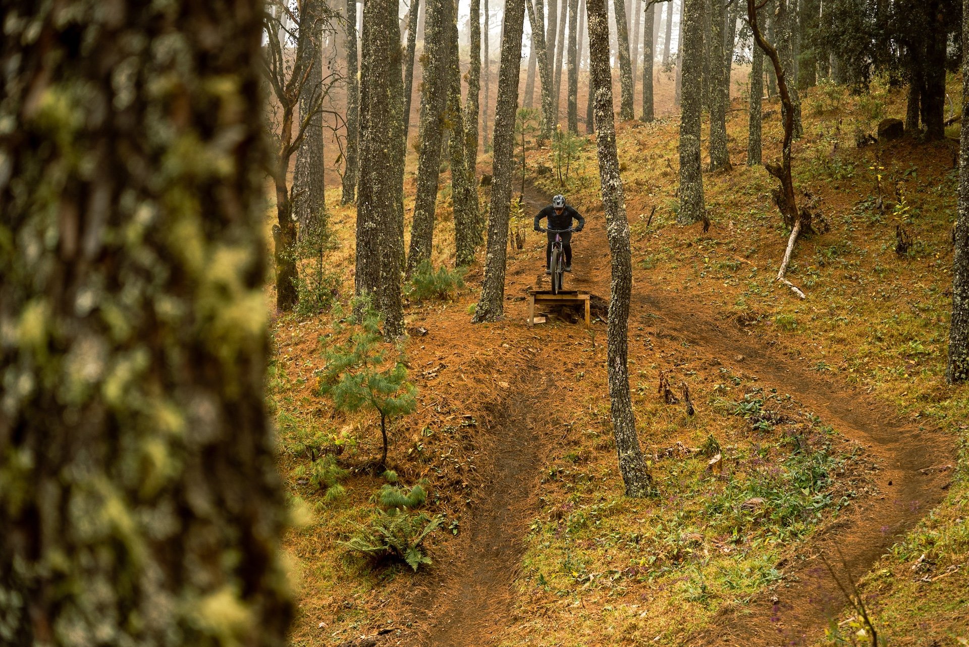 Oaxaca mountain biking