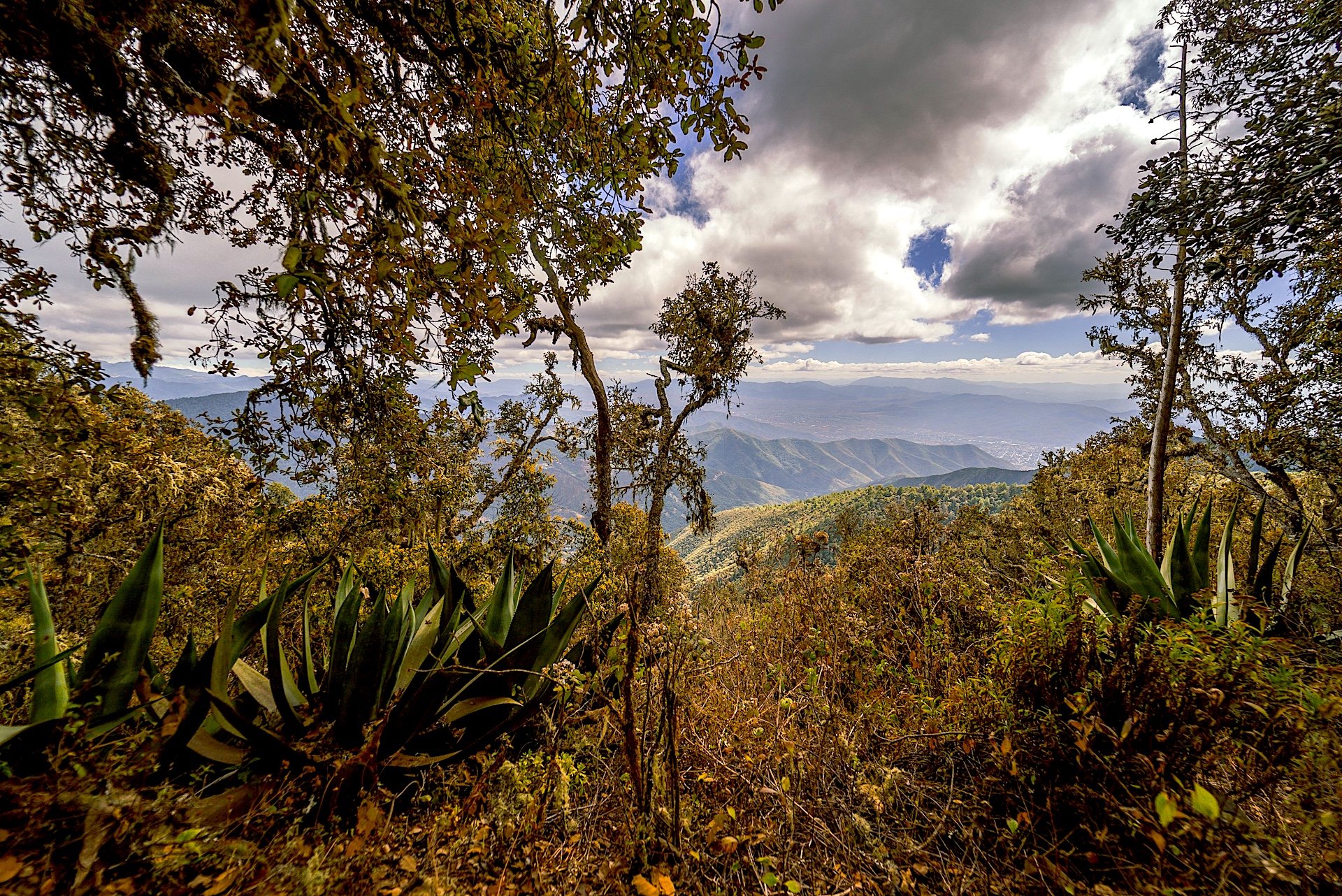 Oaxaca mountain biking 8