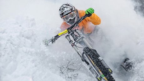 powday.jpg