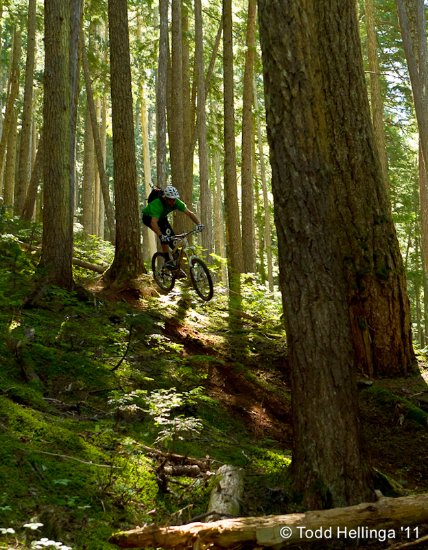 whistler report number 17, 2011, air dh, chromag, curtis robinson, brian lopes