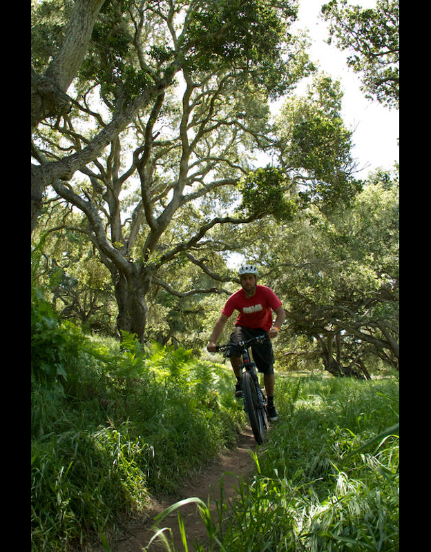 2011 Rocky   mountain slayer sea otter  