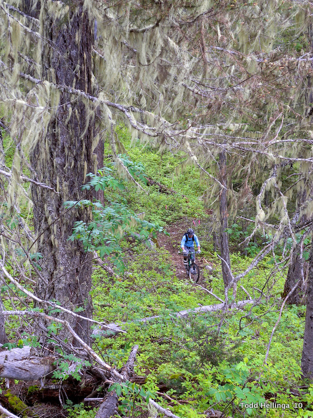 whistler, a line, whistler report,  whistler bike park 2010, trail status