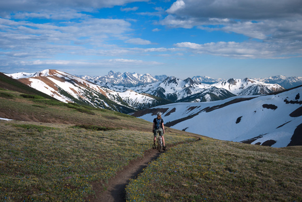 whistler, a line, whistler report,        whistler bike park 2010,  trail status