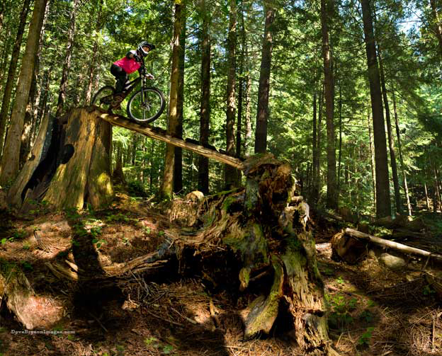 chicks not dicks dorothy luebke nsmb whistler mountain biking