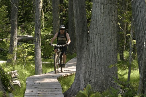 okanagan, shuswap, sicamous, mountain biking, nsmb,