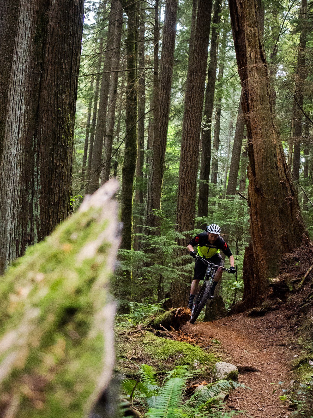 05172016-NSMB-gearreview-cannondale-jekyl-andrewmajor-5170044-1.jpg?resize=1200%2C1600