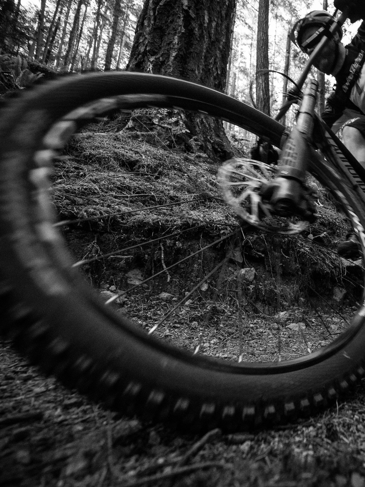 05172016-NSMB-gearreview-cannondale-jekyl-andrewmajor-5170121-1.jpg?resize=1200%2C1600