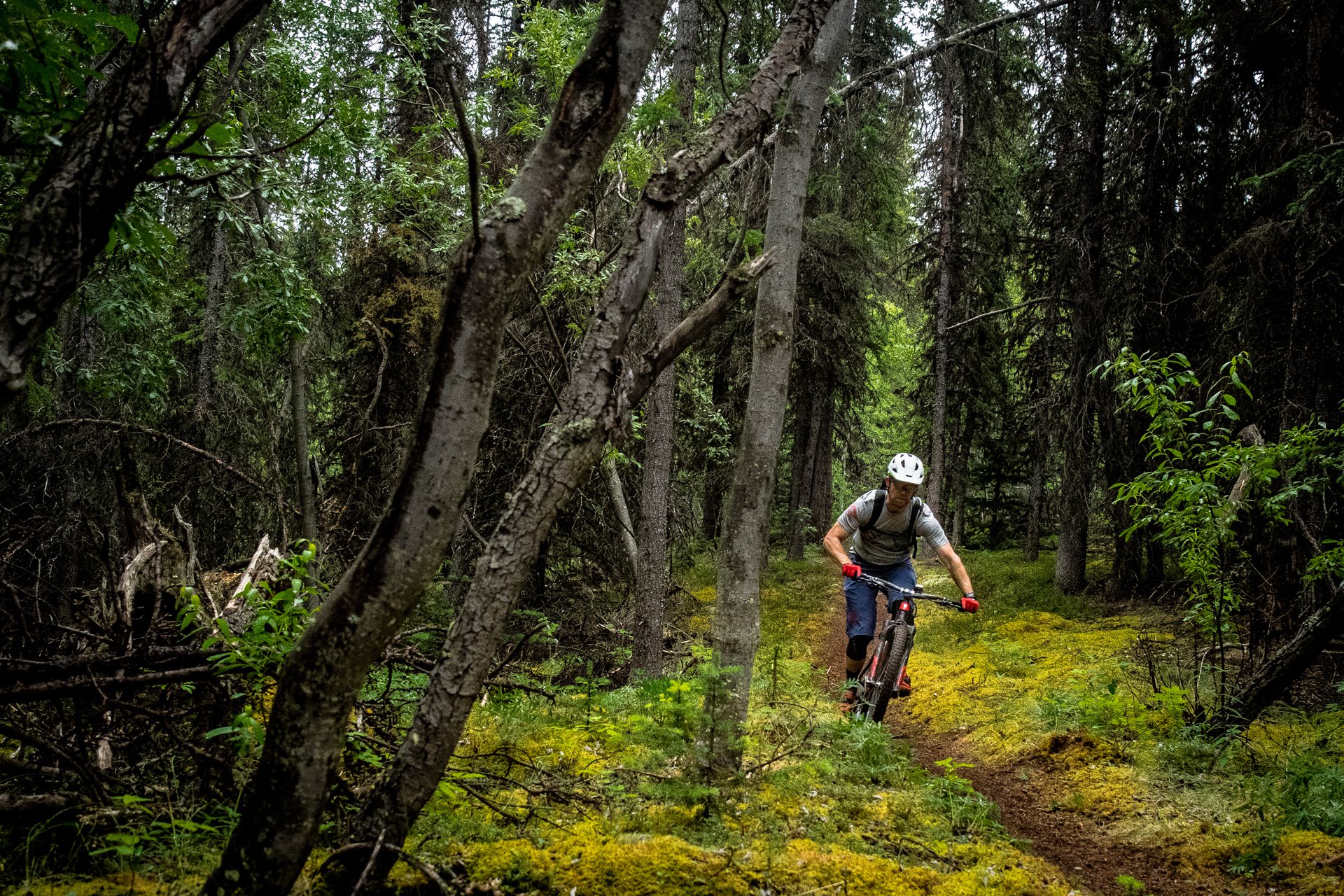 13072016-NSMB-Yukon-Boreale-7120328.jpg