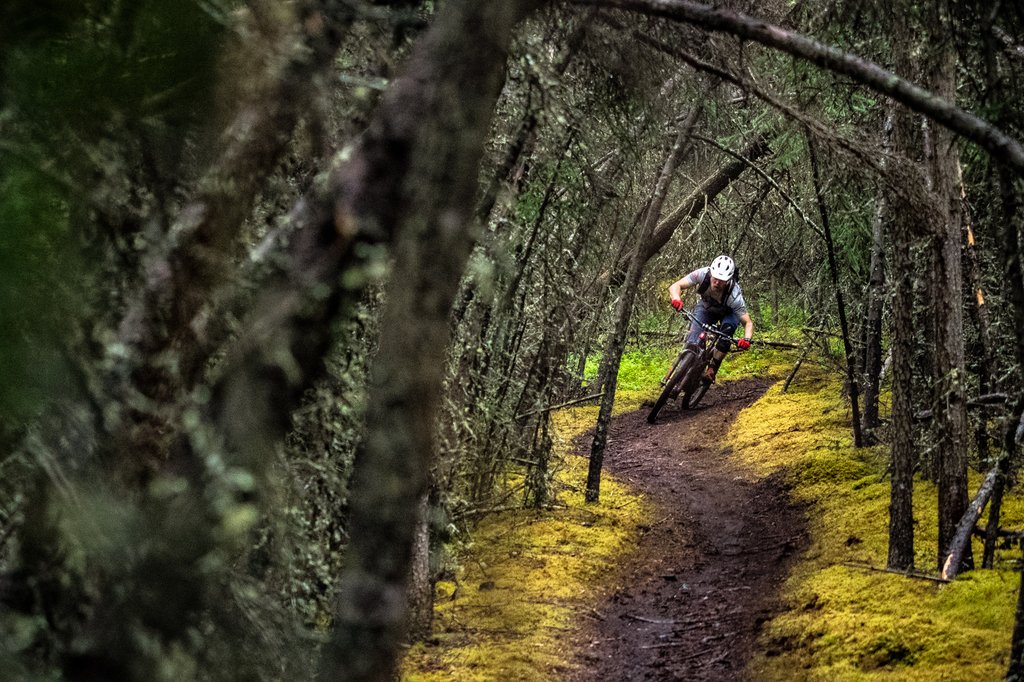 2017 Trek Remedy 9.9 RSL