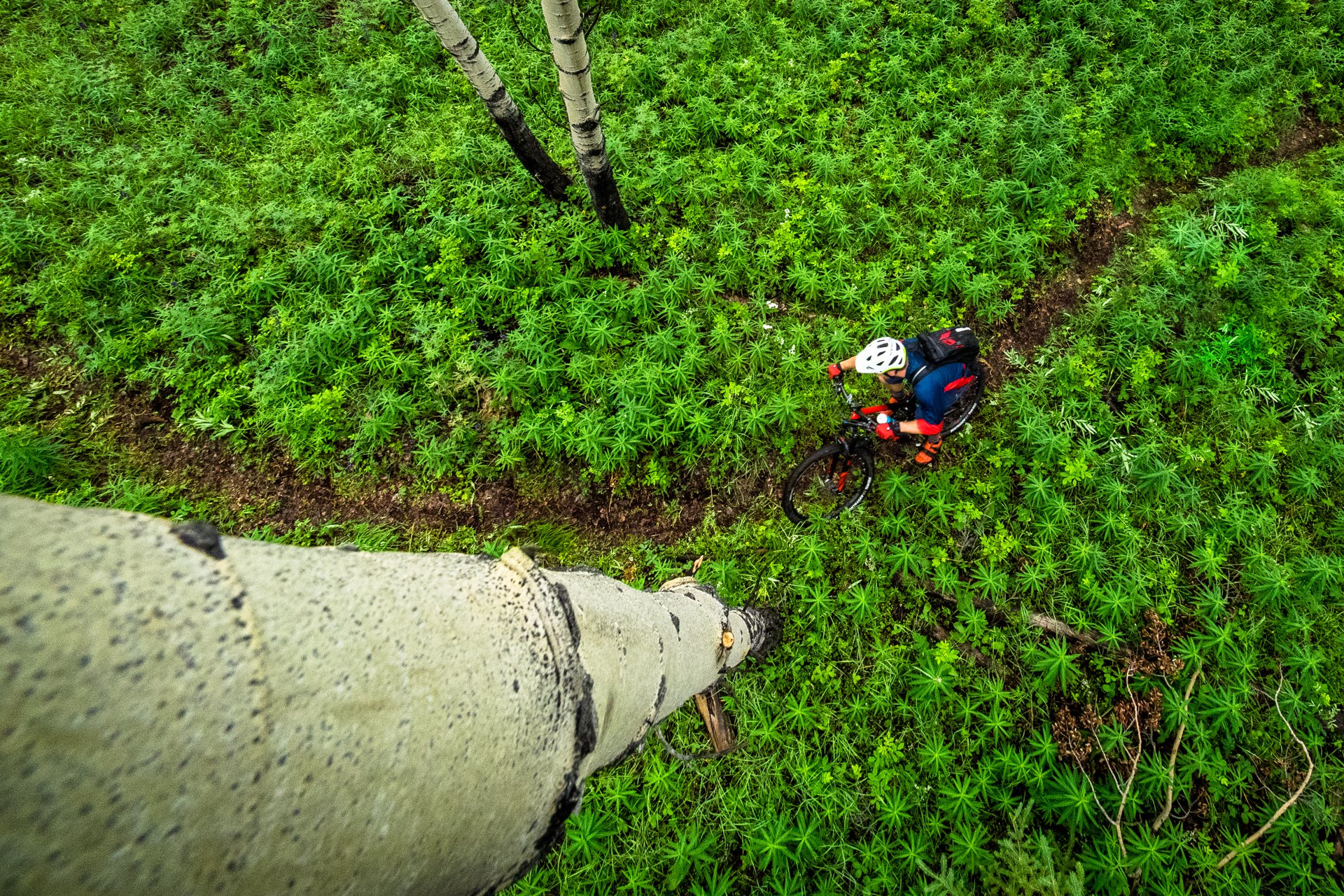 13072016-NSMB-Yukon-Boreale-7140088.jpg