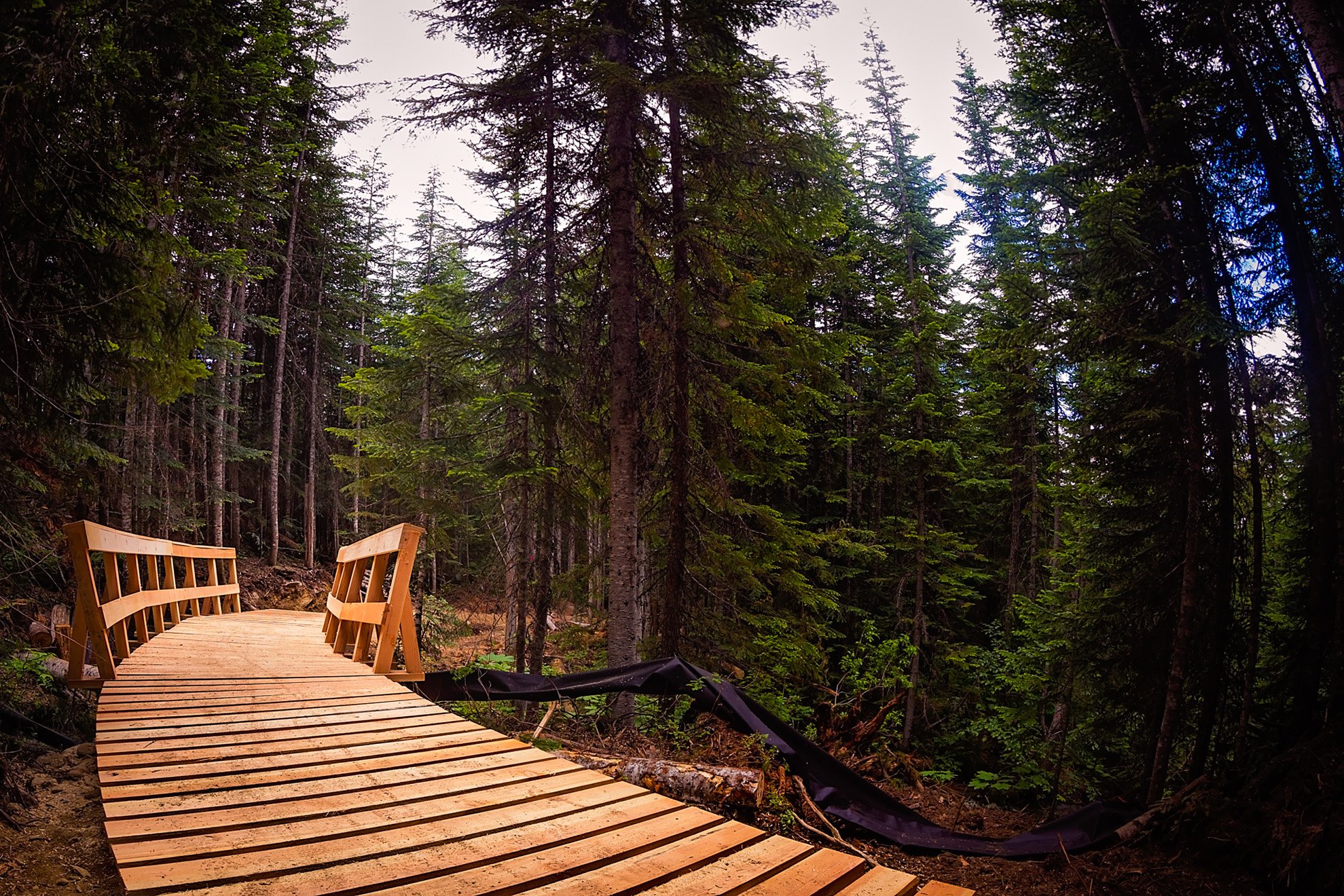 2017_0714_Creekside_197-Edit.jpg