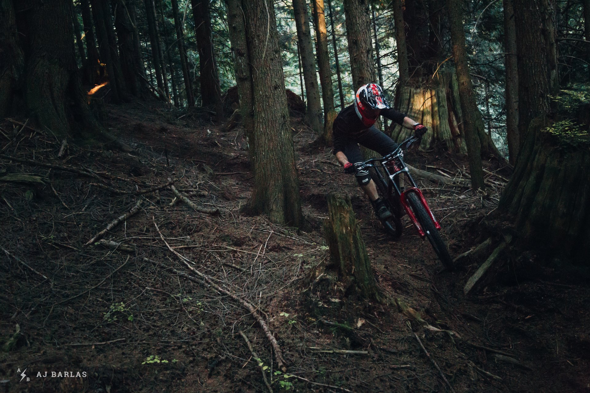 2019-rockshox-boxxer-cypress-161018-ajbarlas-1745.jpg