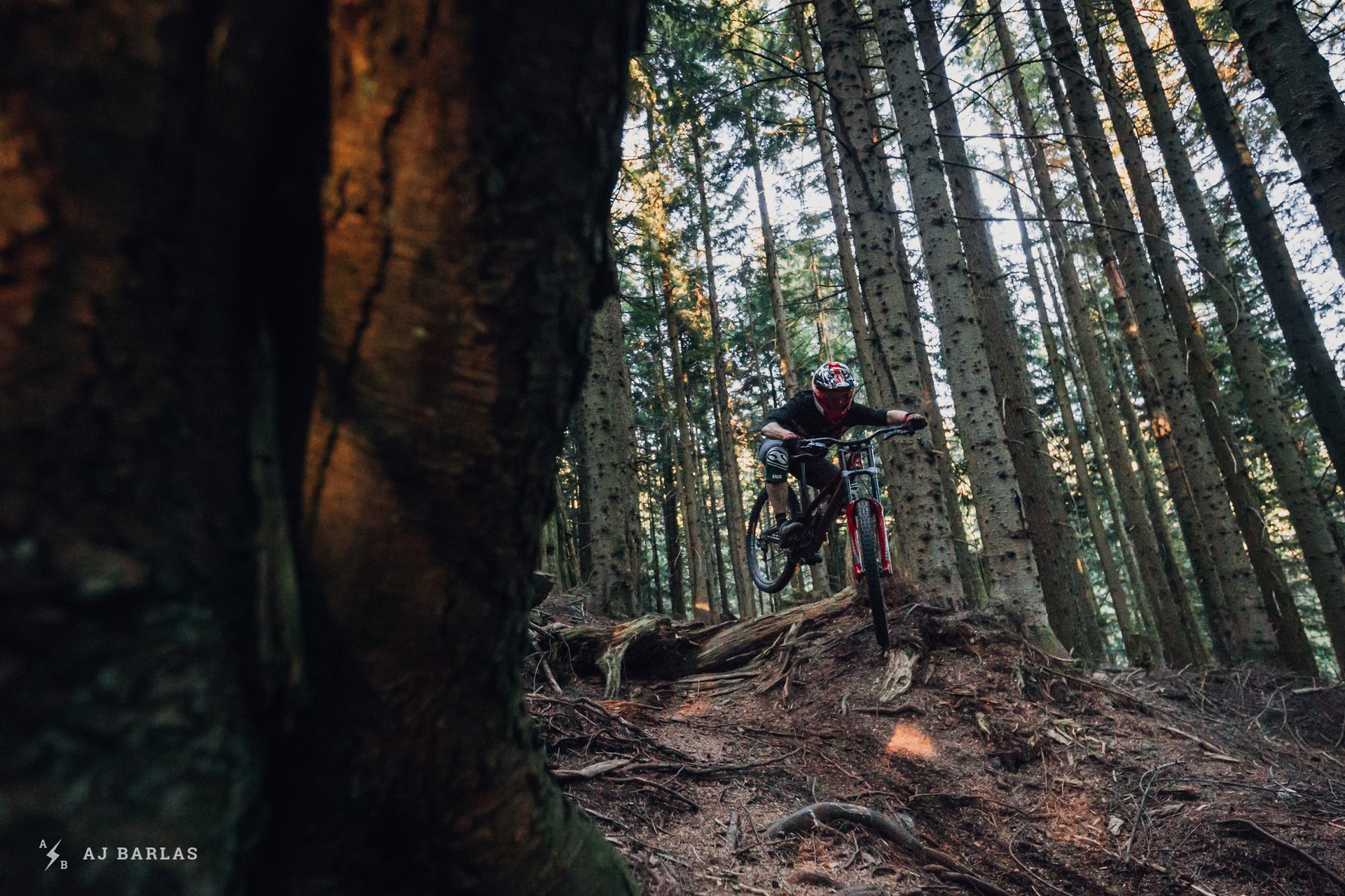 2019-rockshox-boxxer-cypress-161018-ajbarlas-1750.jpg