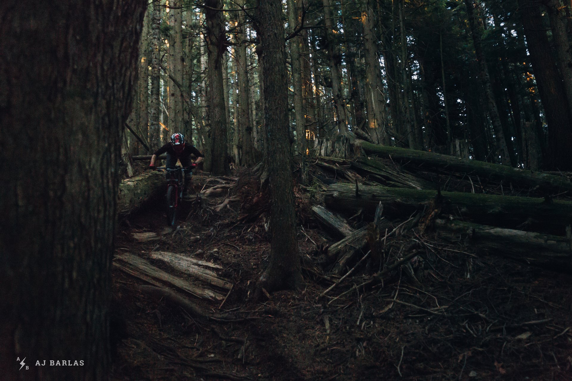 2019-rockshox-boxxer-cypress-161018-ajbarlas-1831.jpg