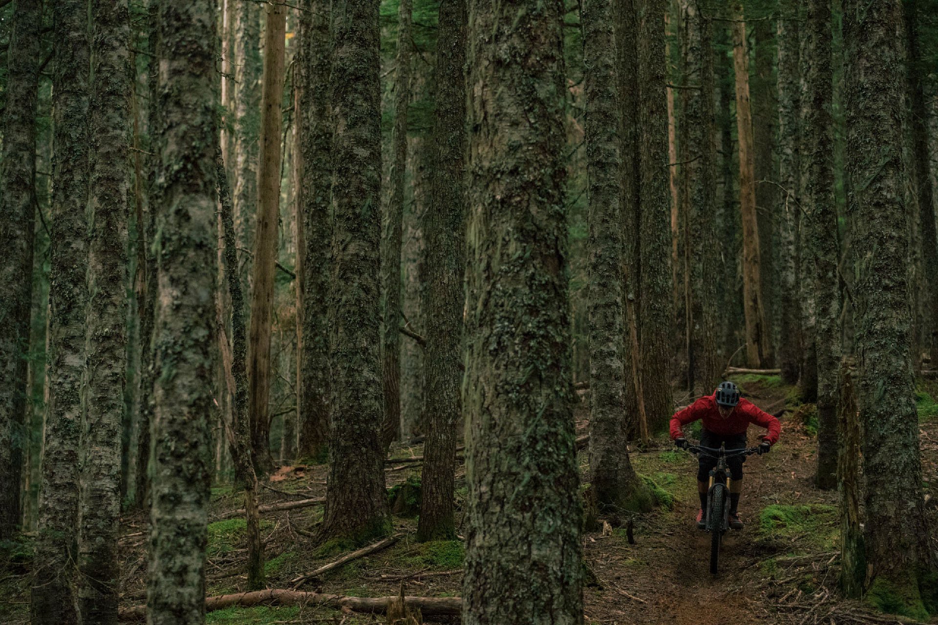 2021-santacruz-bullit-emtb17.jpg