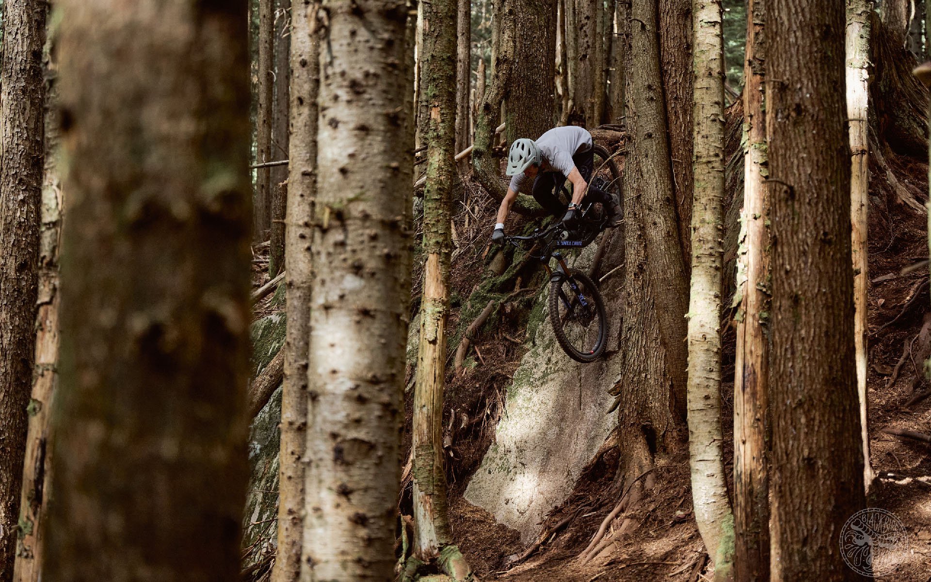 2022 santa cruz mountain bikes