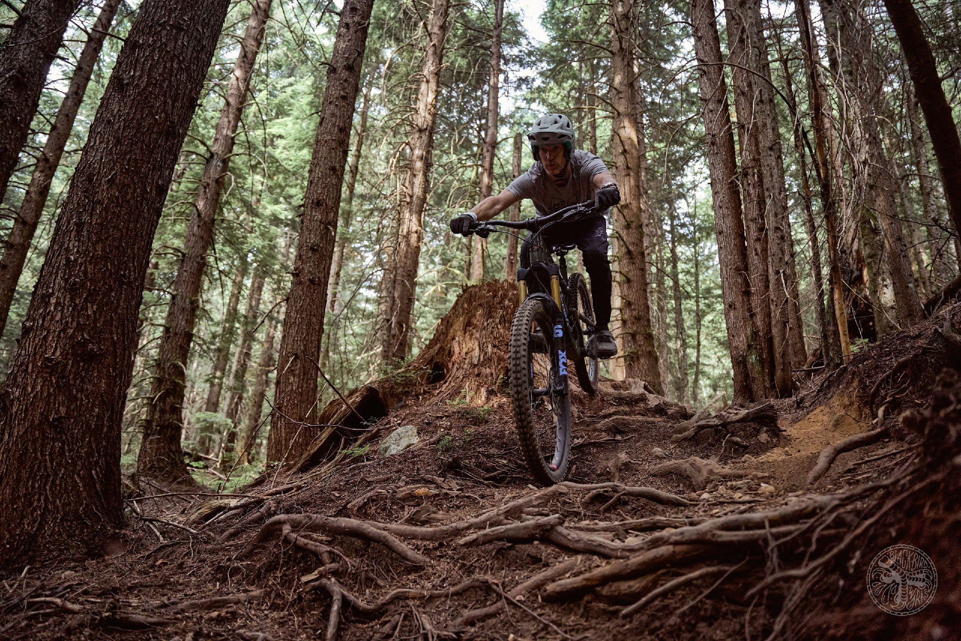 2022 santa cruz bronson full review5.jpg