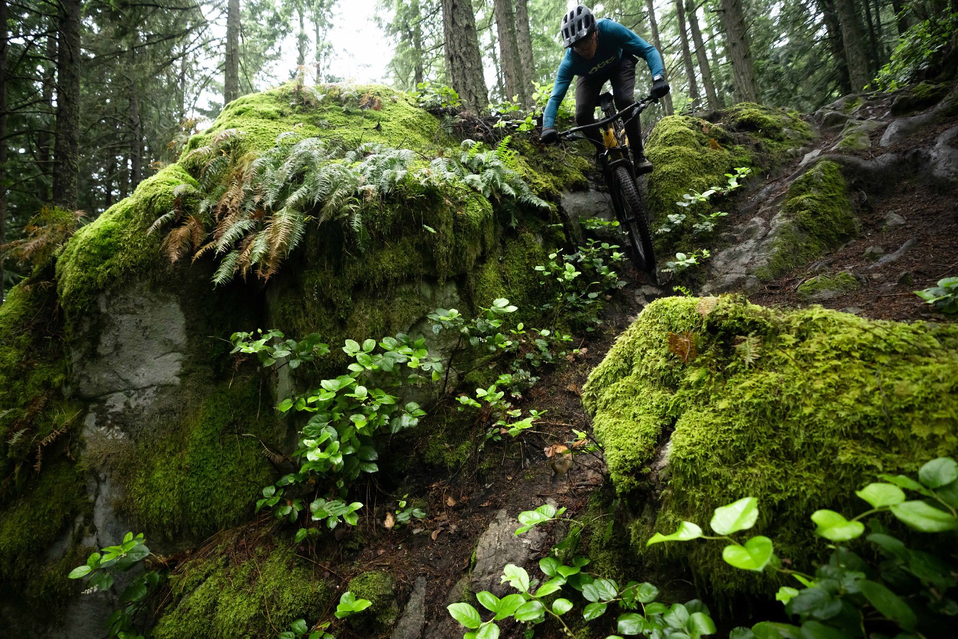 Mountain Bike Action New Products: Primal Wear Tagged Up Men's EVO