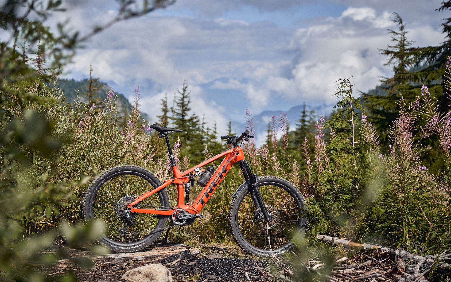 2021 trek best sale rail 9 review