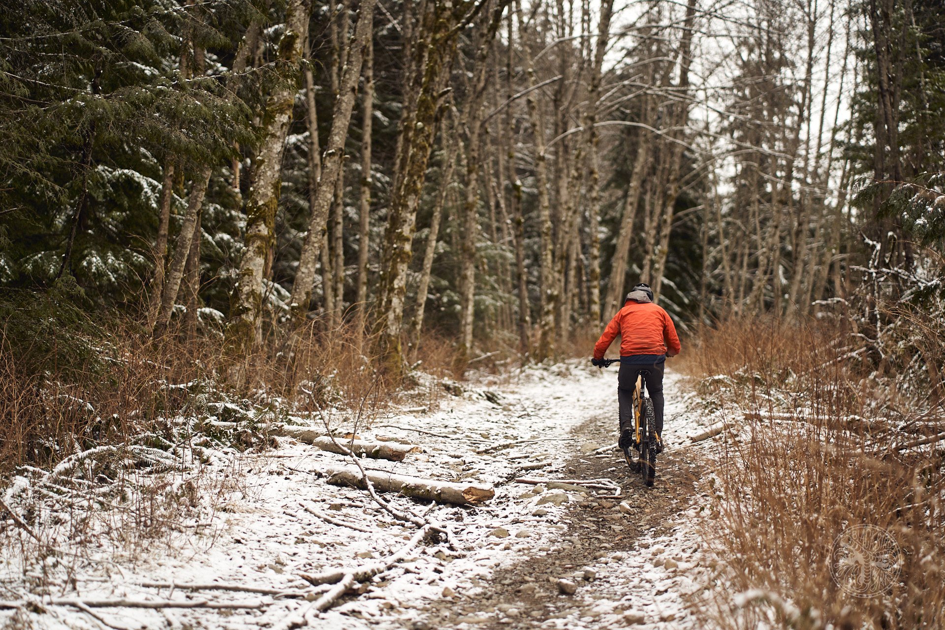 2023 trek fuel ex-e long term review merdano2