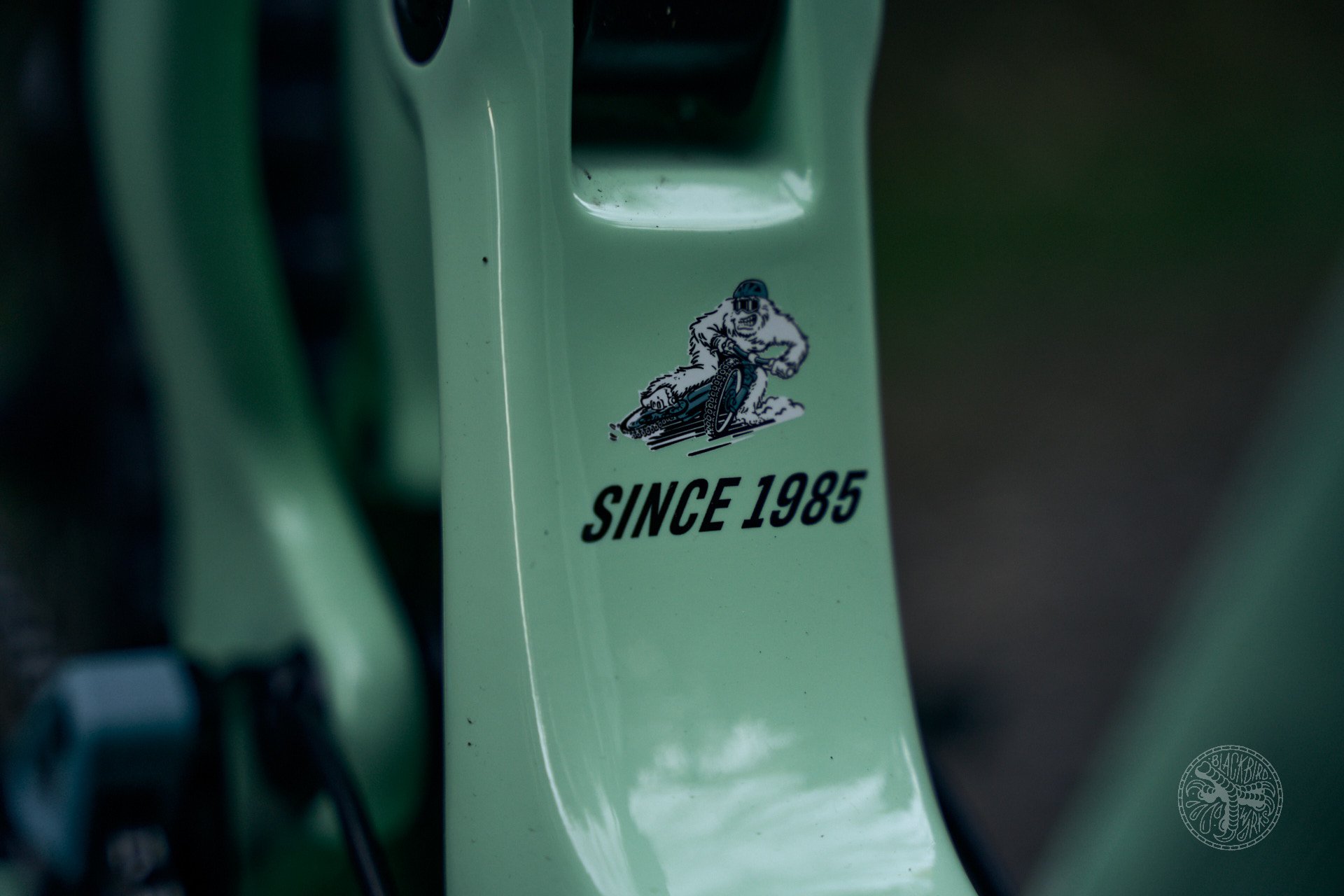 2023 yeti sb160 deniz merdano56