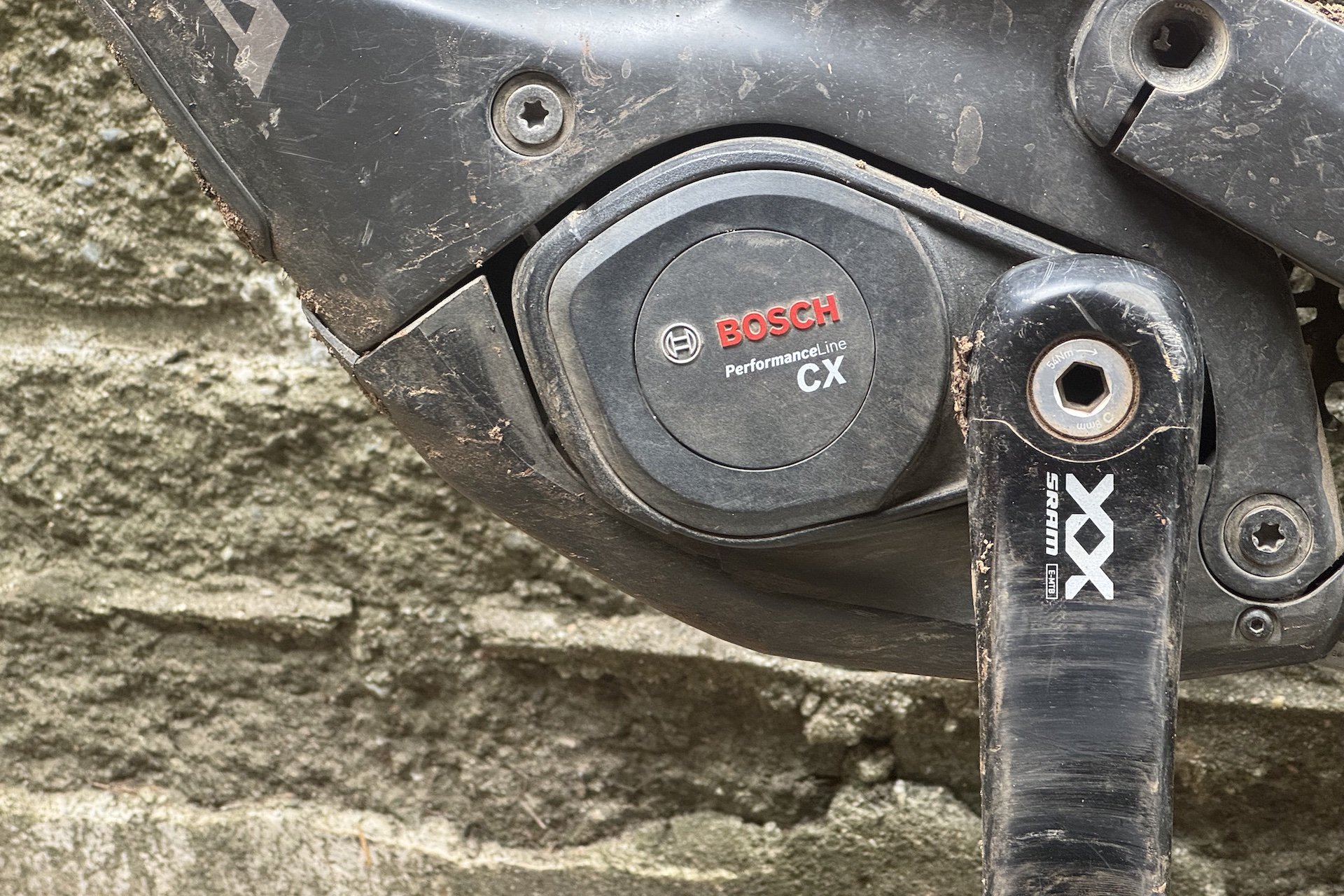 2025 Orbea wild bosch Performance CX