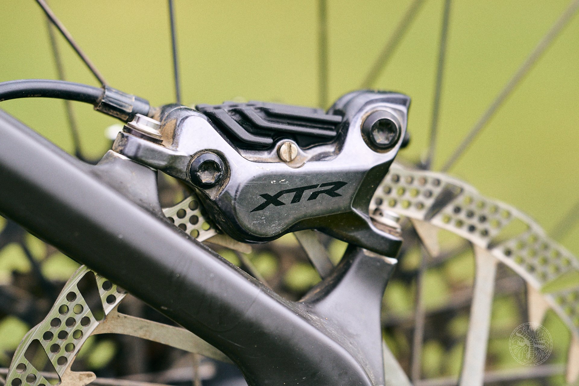 2025 orbea wild emtb