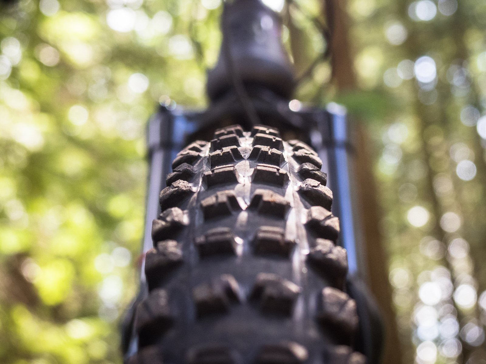 Review: e*thirteen TRSr Tires Review: e*thirteen TRSr Tires