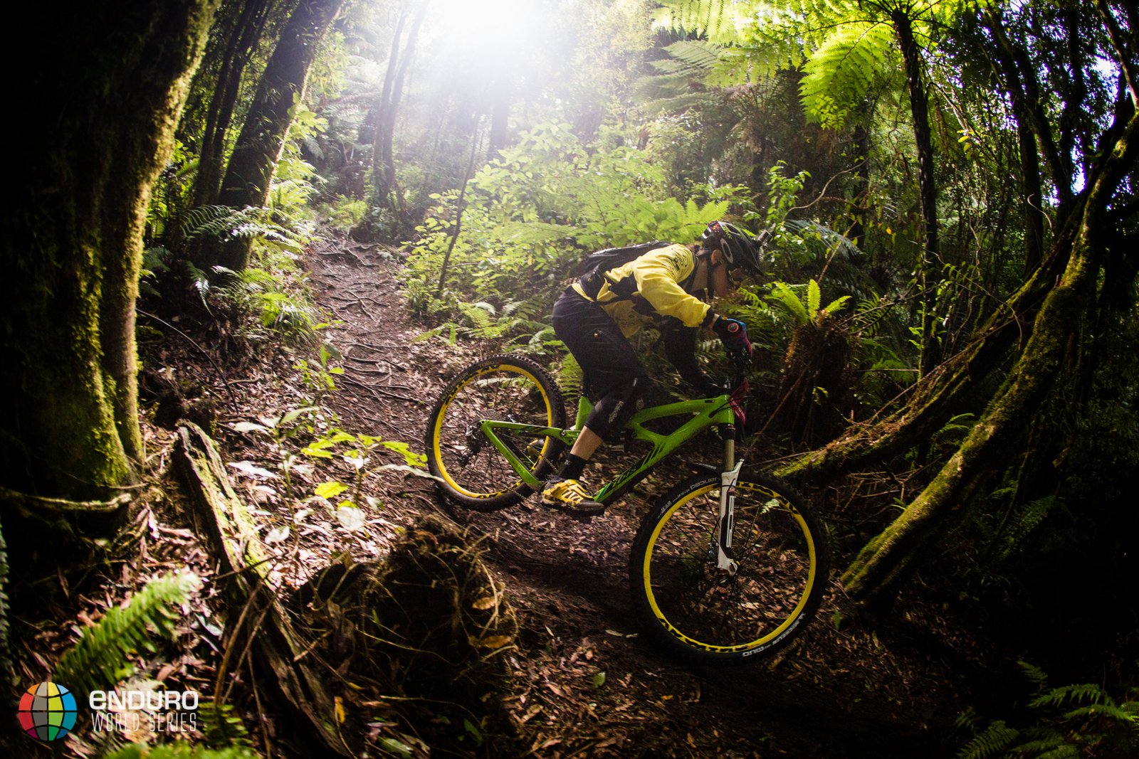 EWS Rotorua 4