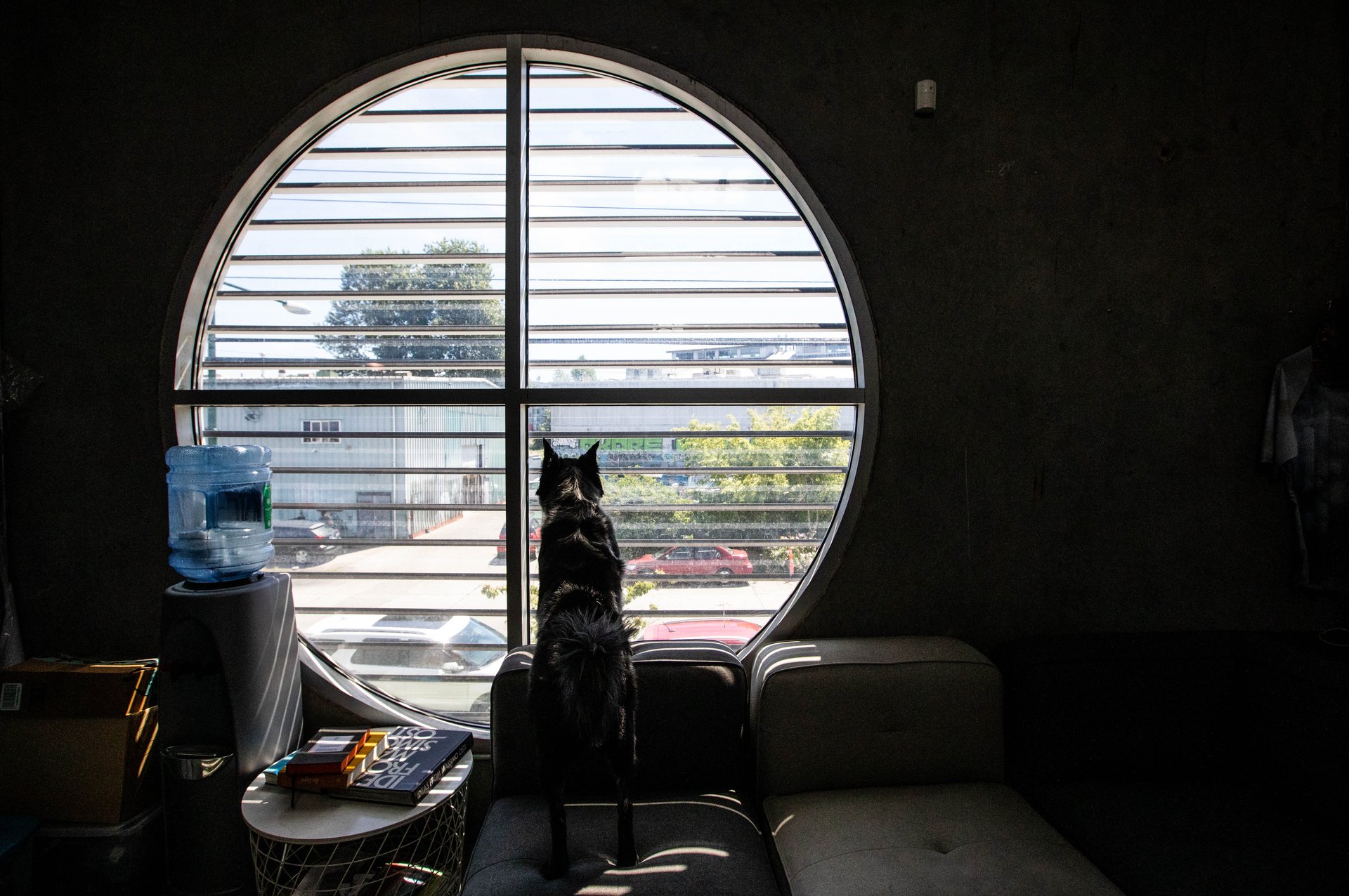 Willy on guard at ENNEF.jpg