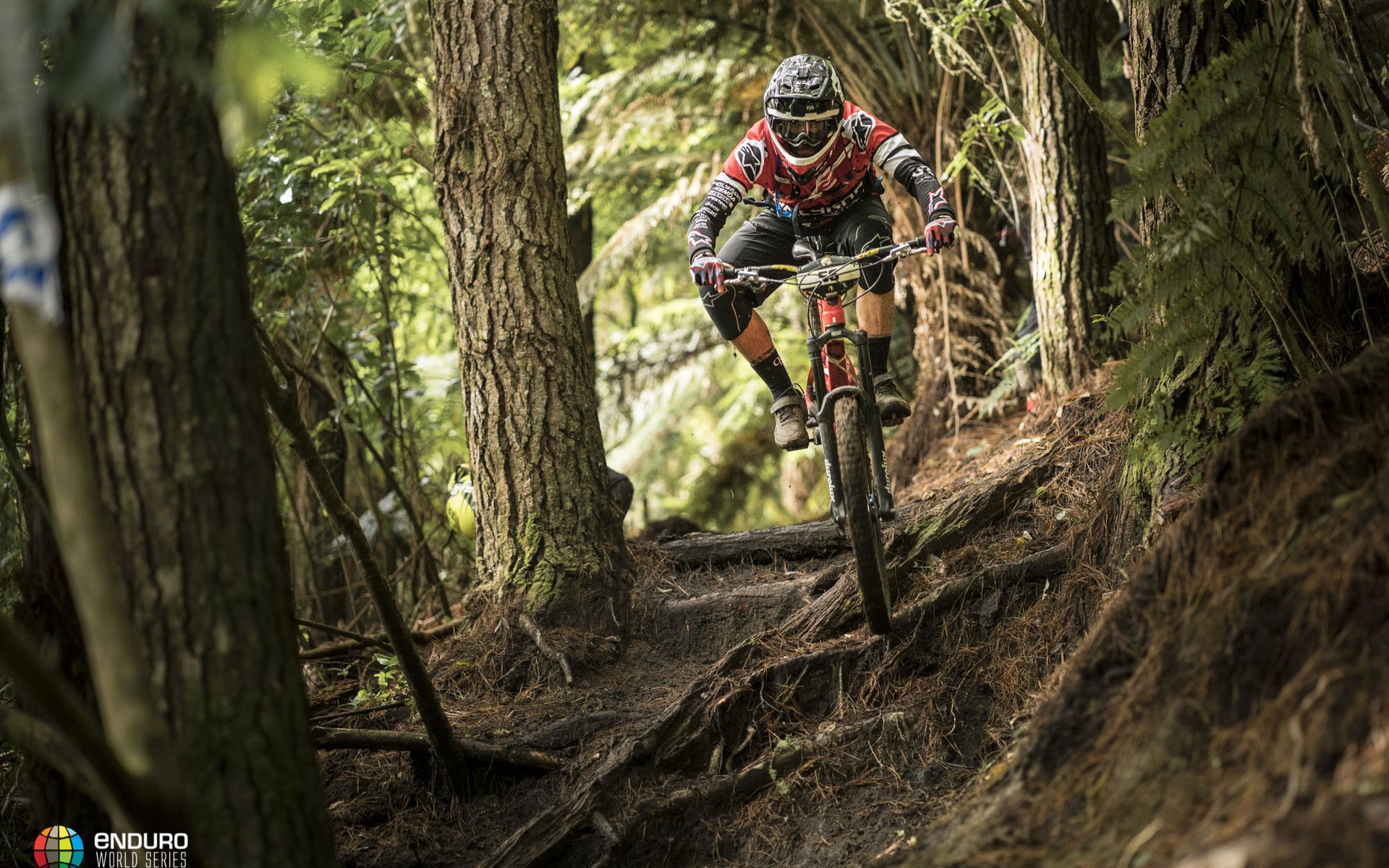 EWS Rotorua Results Header