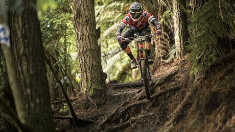 EWS Rotorua Results Header