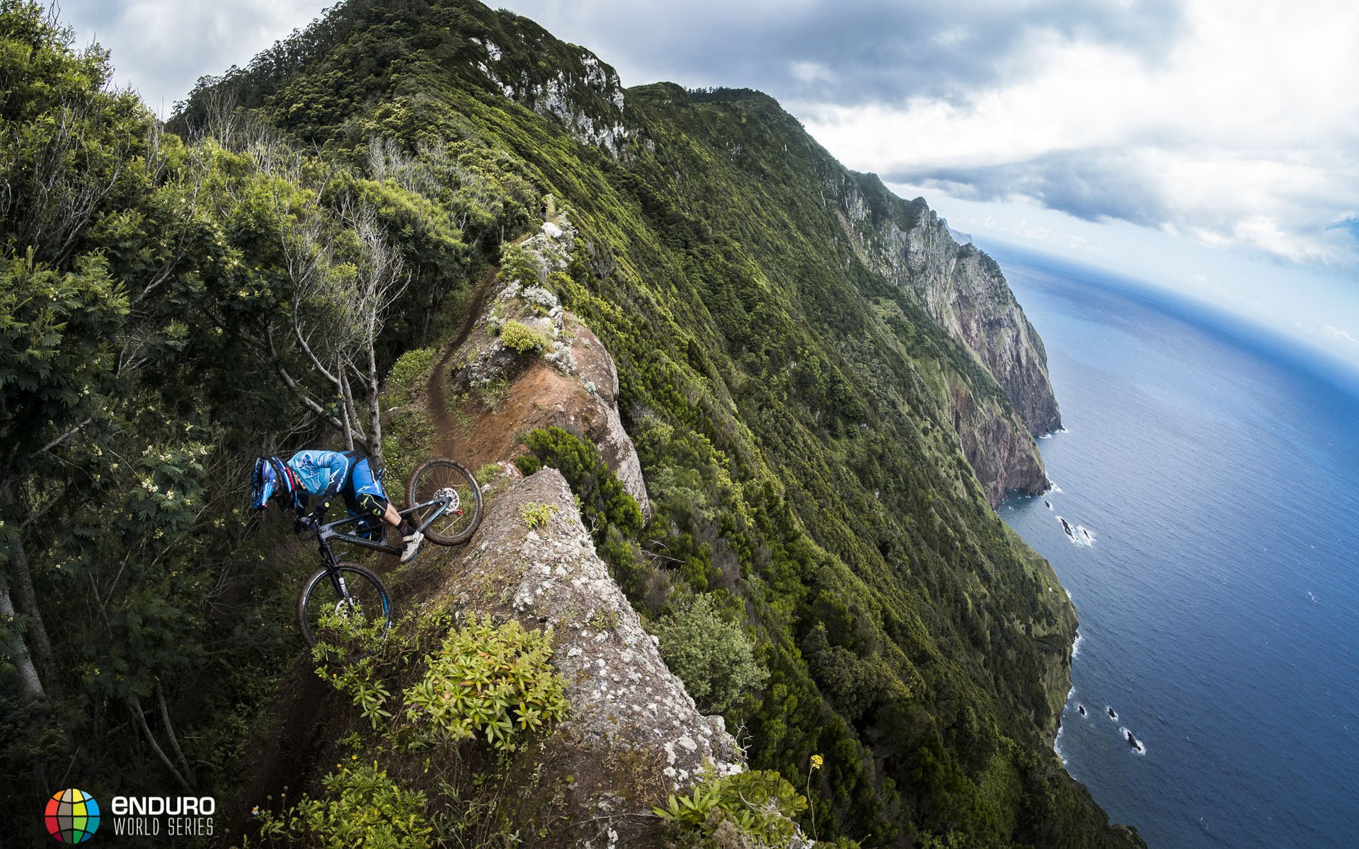 EWS Madeira Returns for 2019