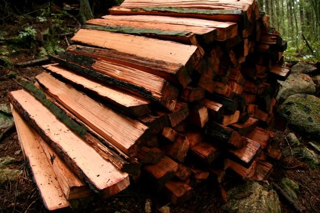 North Shore trail building - The slats await to be put on the Monster - Photo Mark Wood