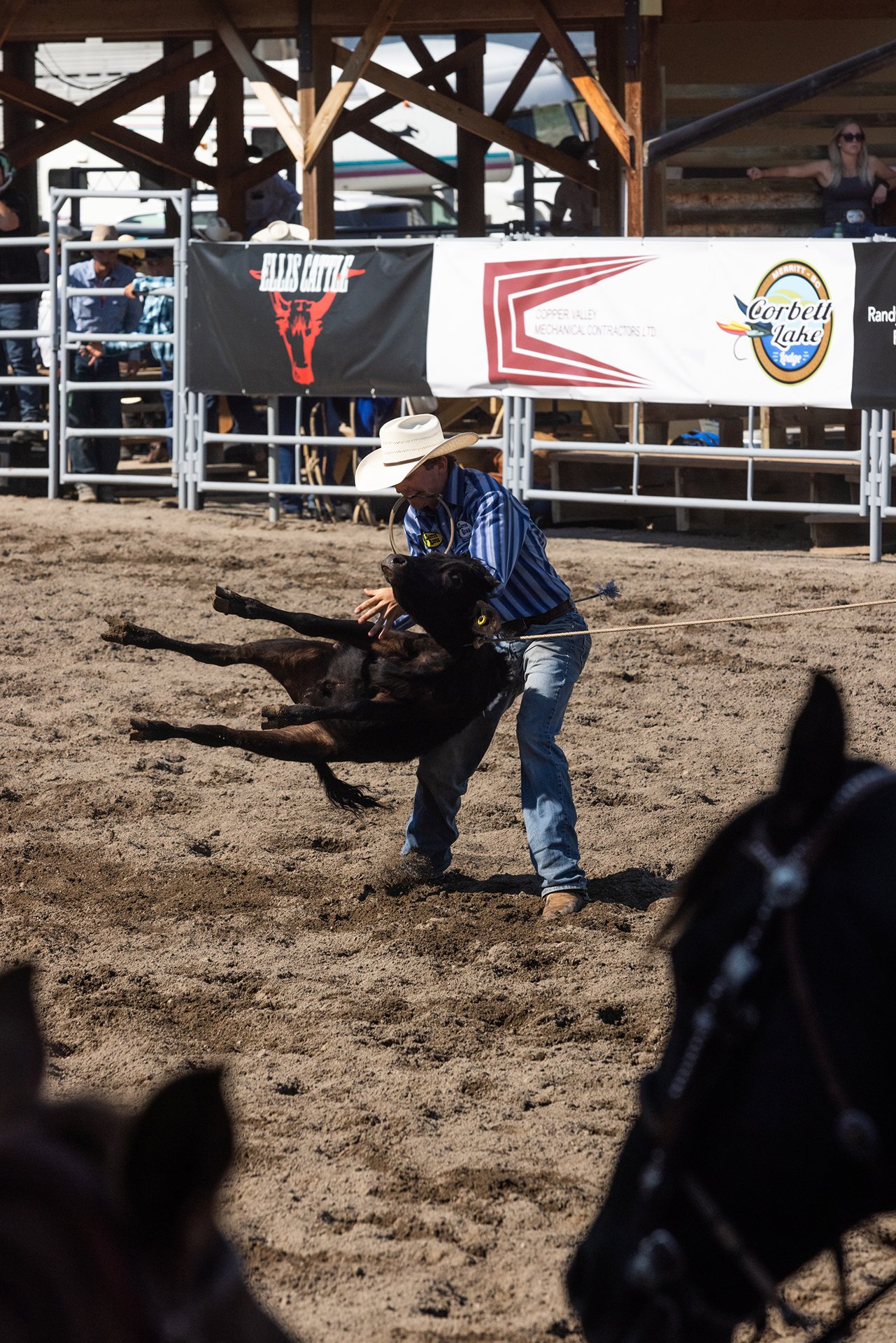Toyota Road Trip Merritt Rodeo 1