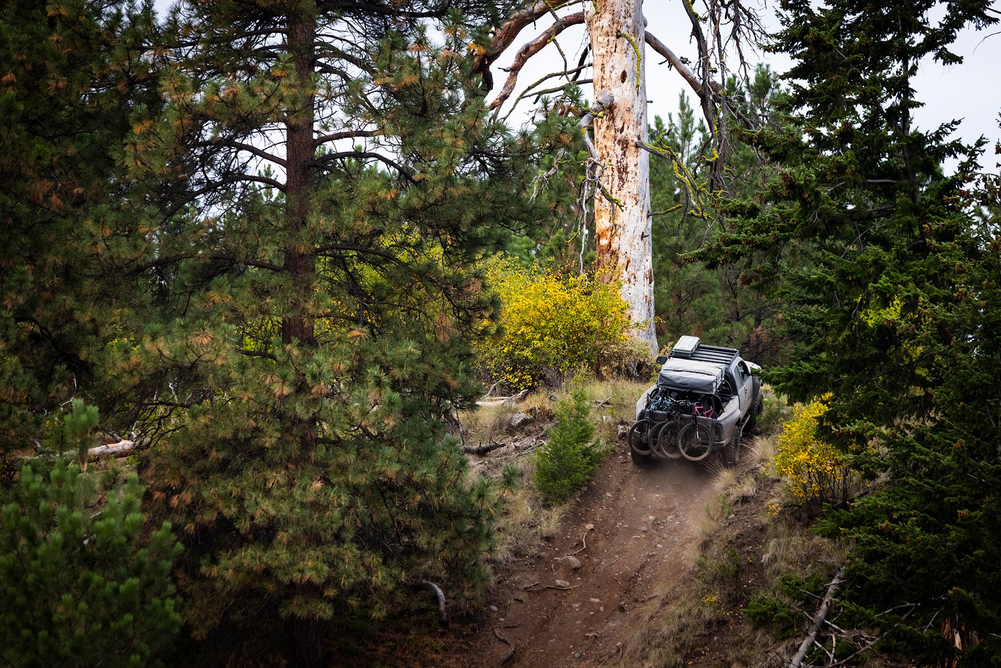 Toyota Road Trip Merritt 1
