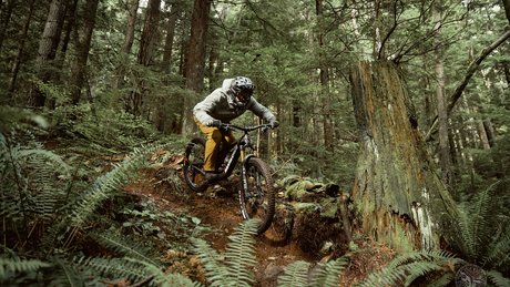 Gear Articles - North Shore Mountain Biking