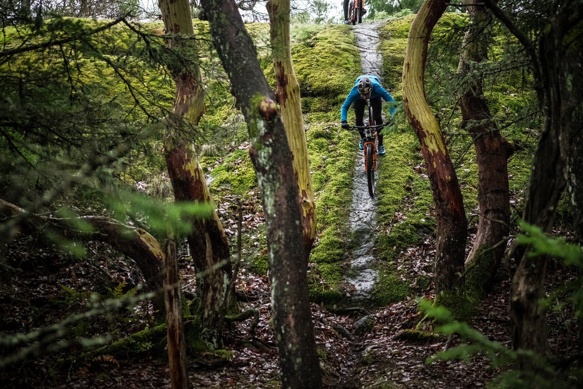 7mesh_RockyMountain_Resolutions-26.jpg