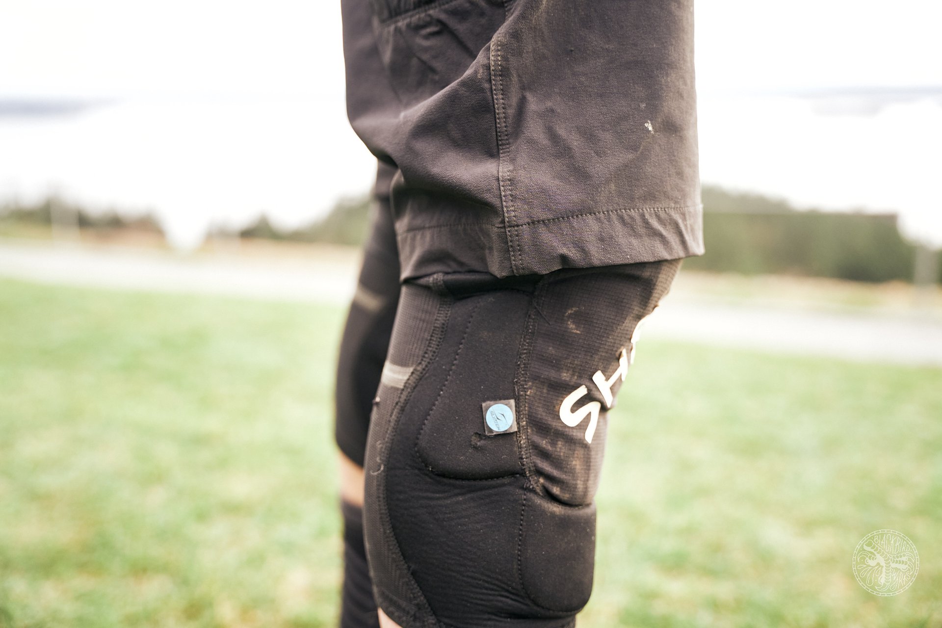 Abit Gear MTB Shorts5.jpg