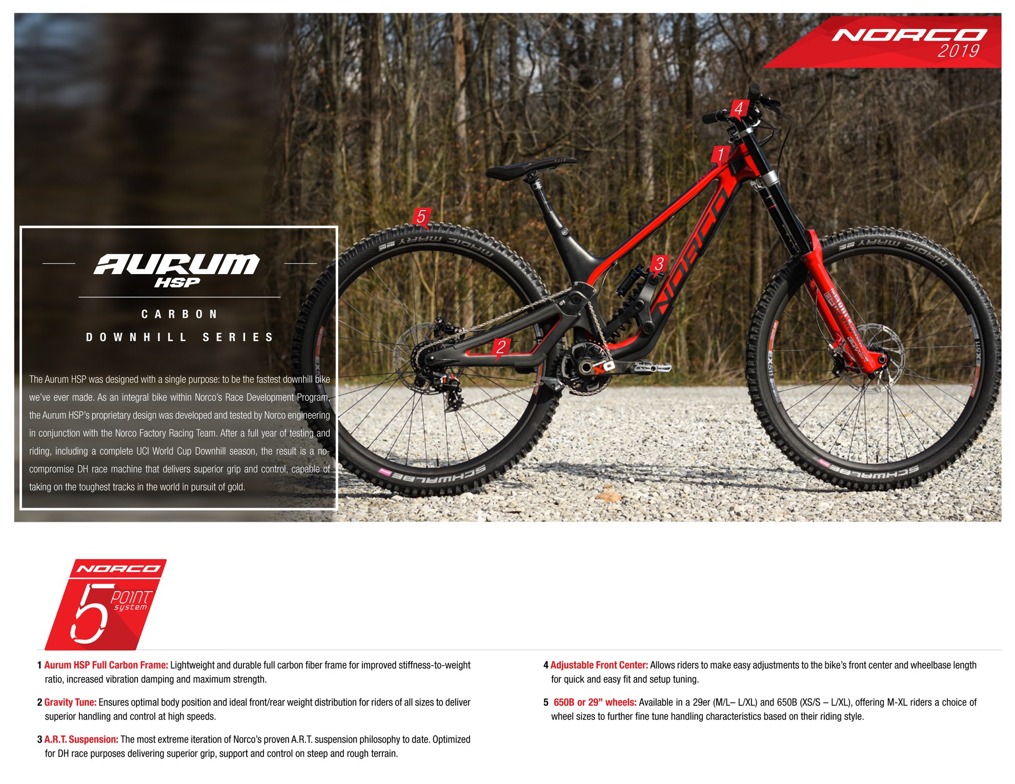 norco aurum hsp 29