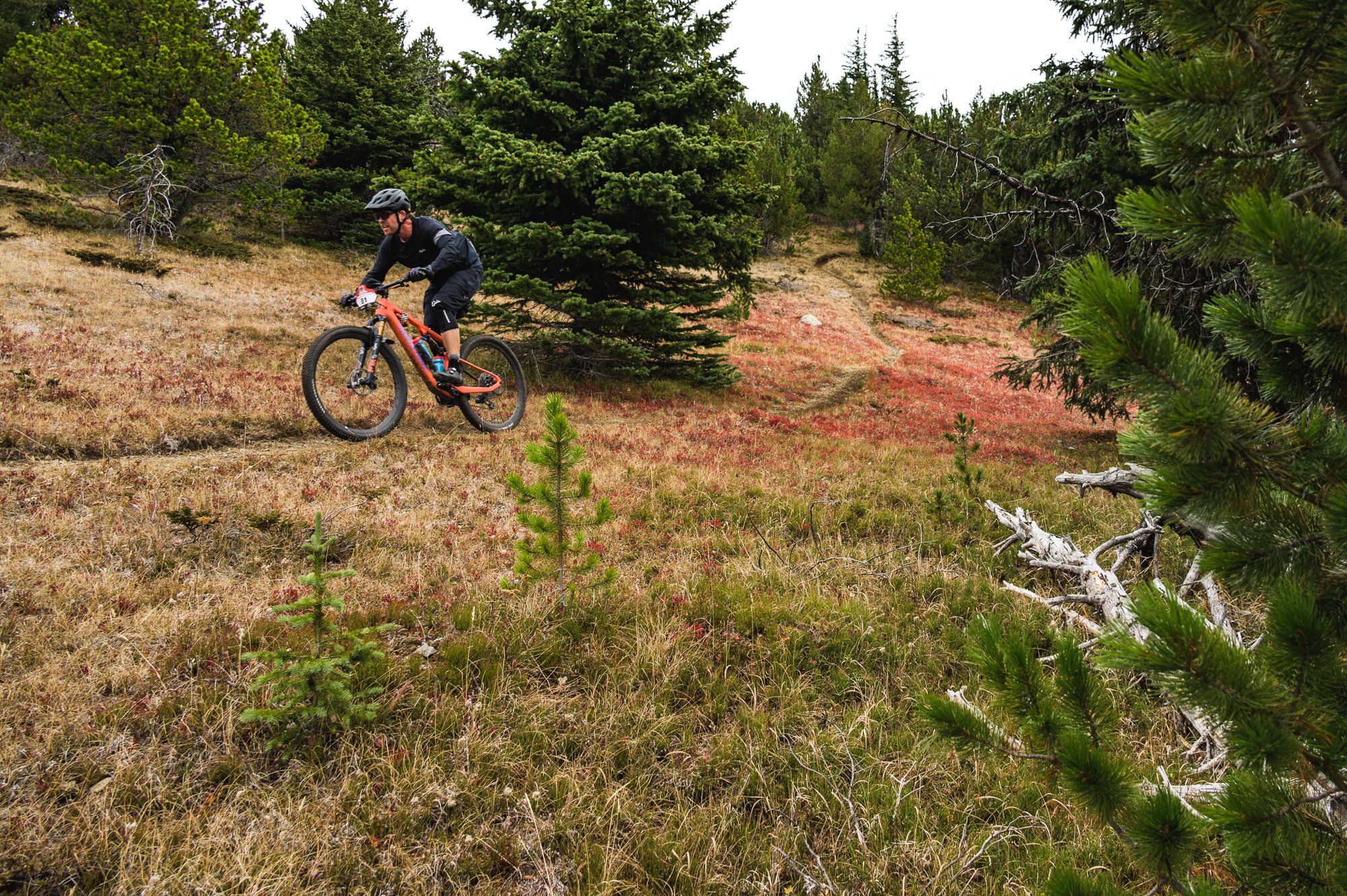 Need Post-Ride Protein? Set Up a Trailside Smoothie Stand With the