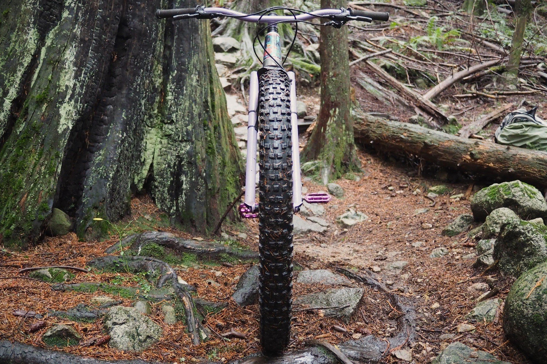 Banshee Enigma NSMB Andrew Major (4)