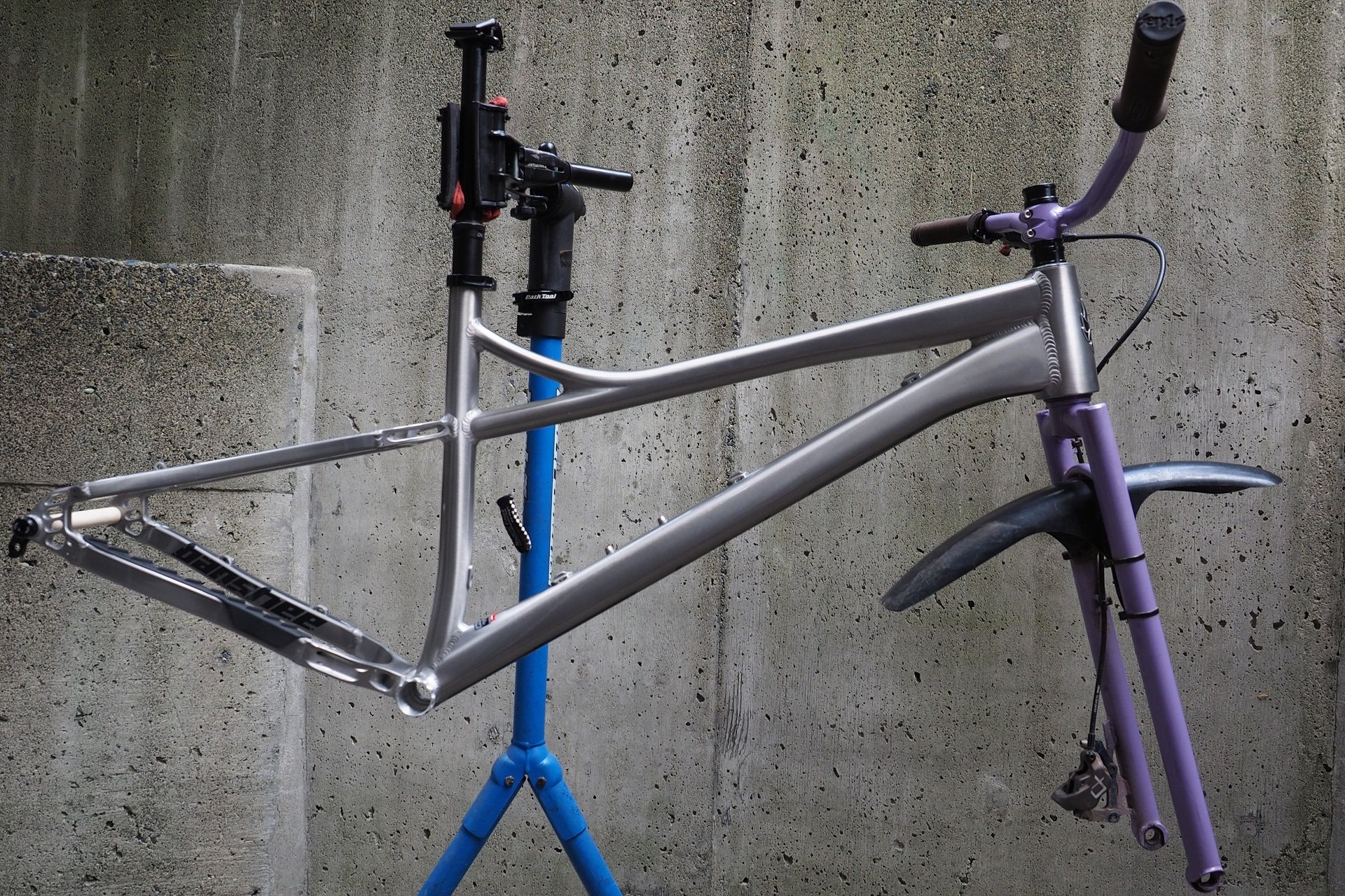 Banshee hardtail online frame