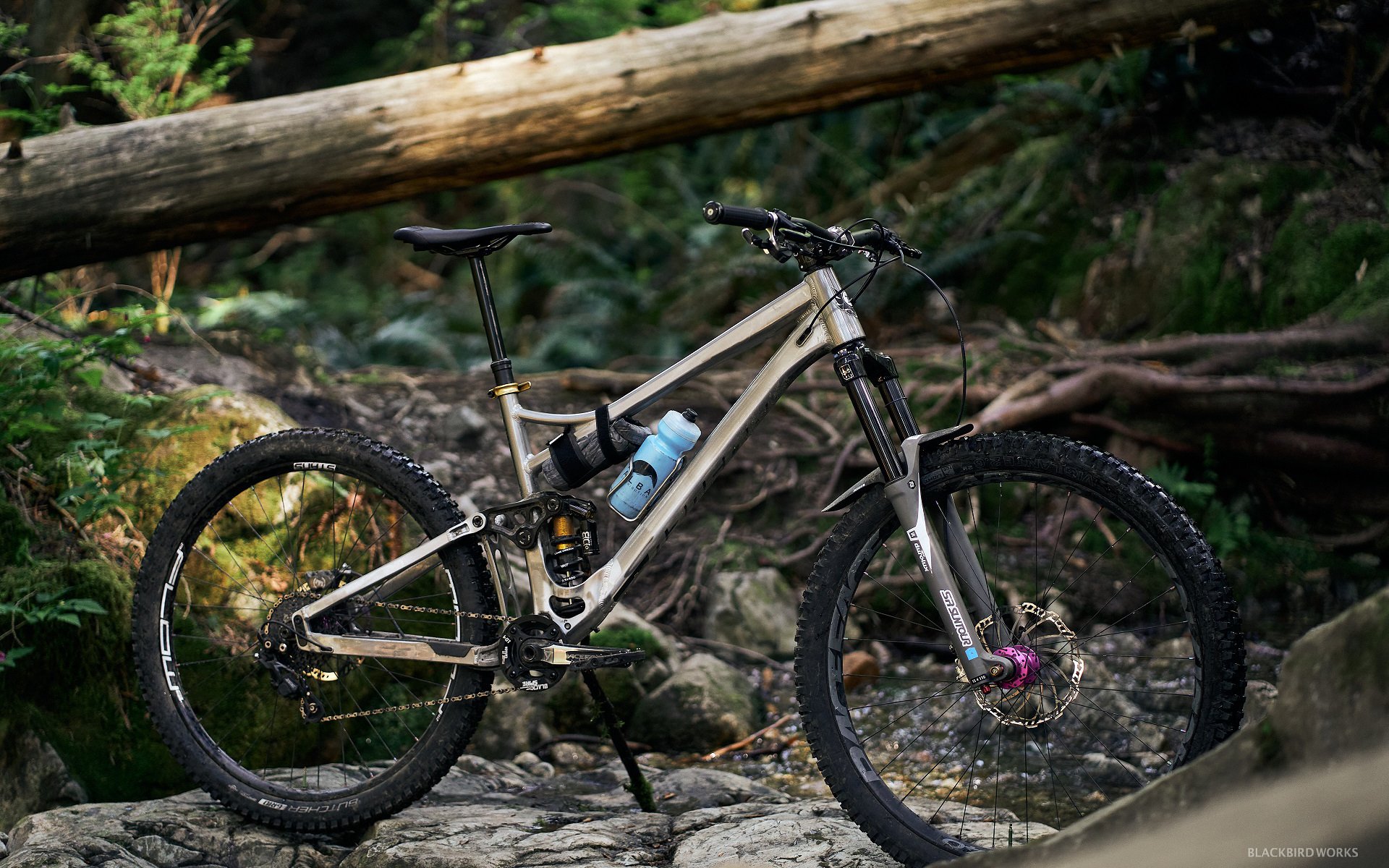 Banshee best sale enduro bike