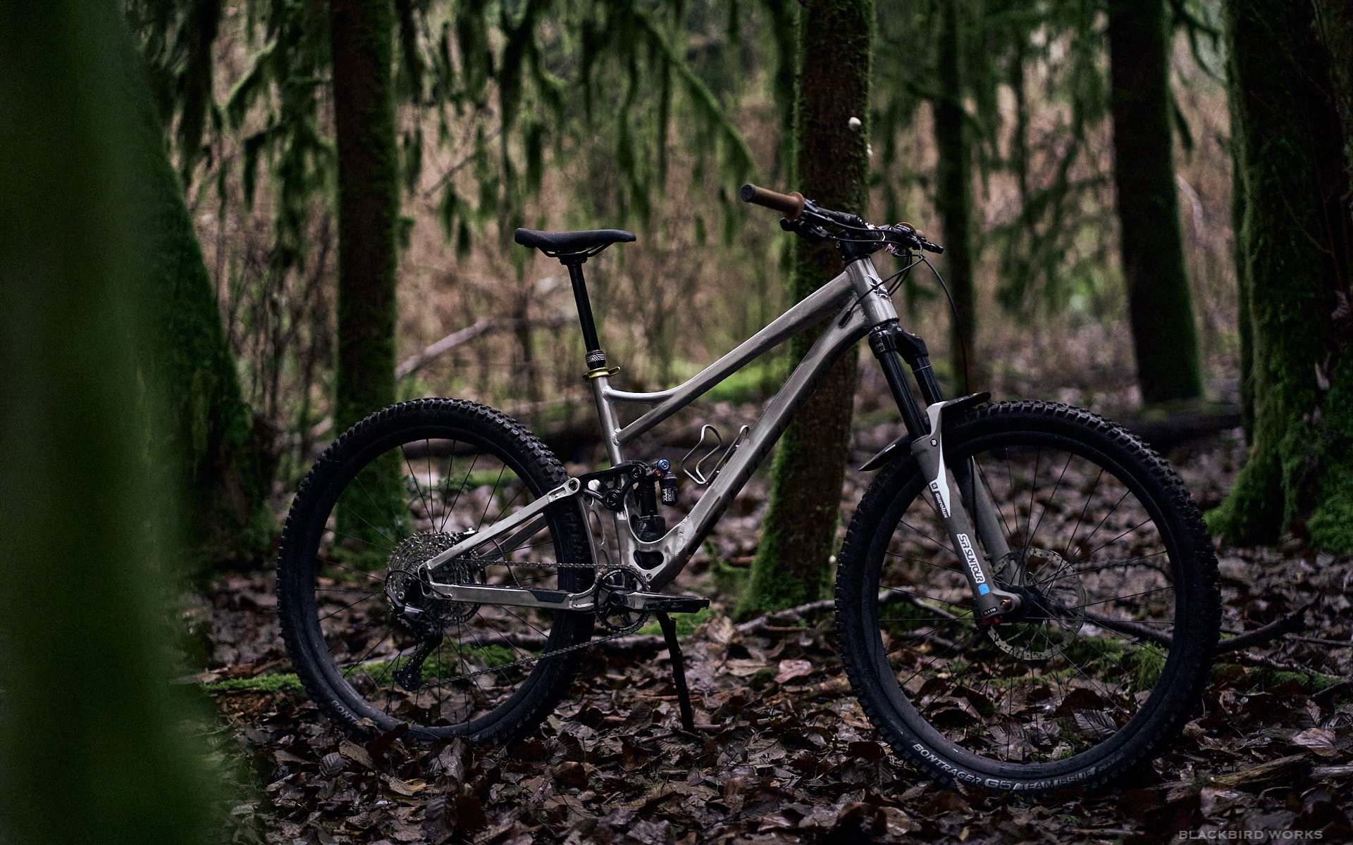 titan expert 29er