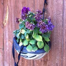 Bicycle Flowerpot III