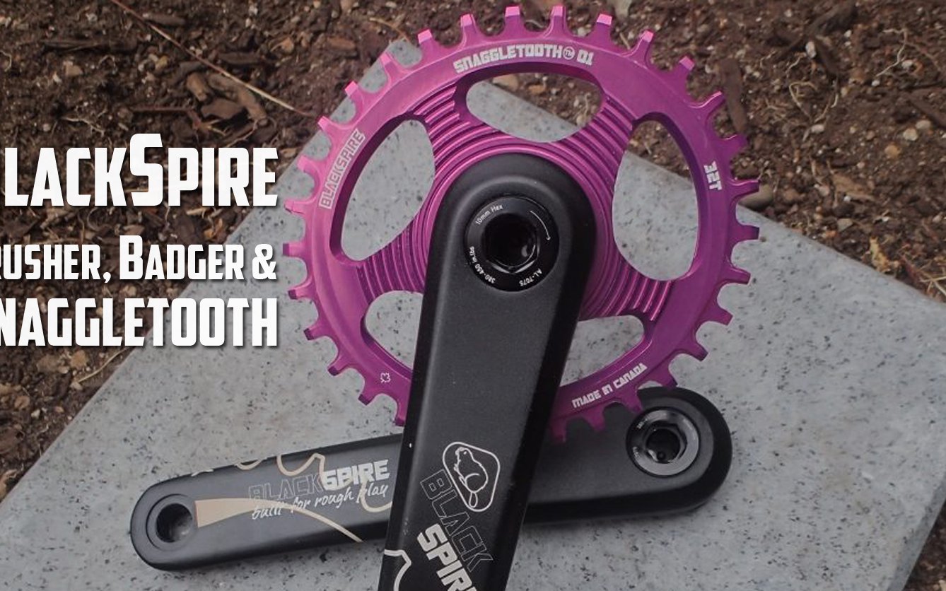 Blackspire stinger single discount speed